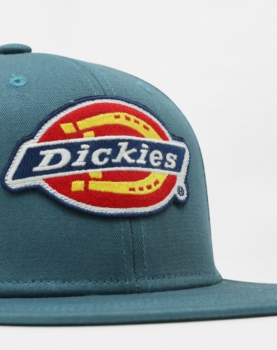 DICKIES Muldoon 5 Panel Cap Green 